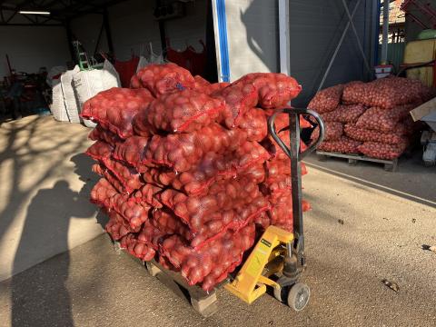 Étkezési burgonya Balatoni rózsa