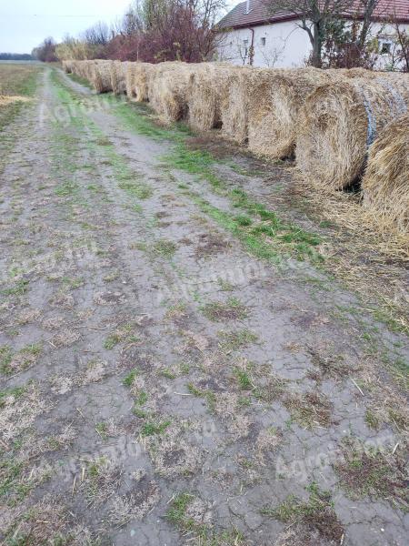 Szalma 120-as árpa és tritikálé eladó