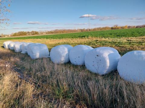 Lucerna szenázs eladó Lucerna szenázs eladó