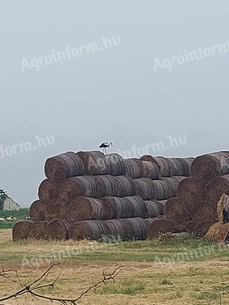 Eladó búza szalma hálós kazalban, 120×130-as bálamérettel