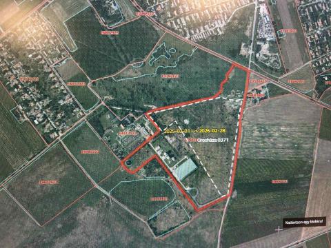 Orosházi 0371 hrsz.-ú külterületi ingatlan