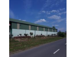 Berettyóújfaluban csarnok hosszú távra kiadó