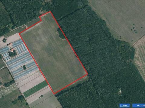 Kistelek – 9,53 hektár szántóföld eladó