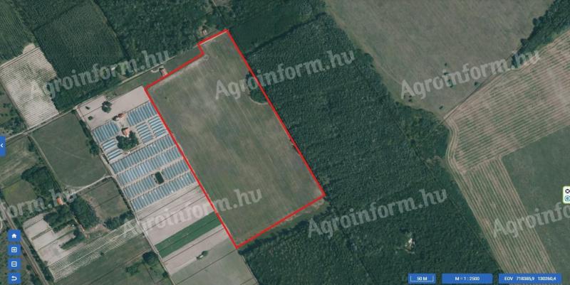 Kistelek – 9,53 hektár szántóföld eladó