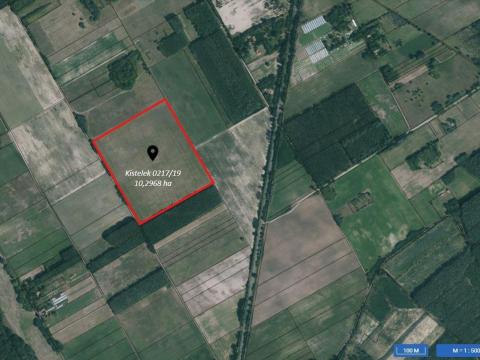 Kistelek 0217/19 – eladó 10,30 ha szántóföld