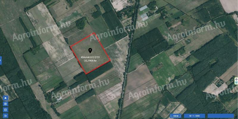 Kistelek 0217/19 – eladó 10,30 ha szántóföld