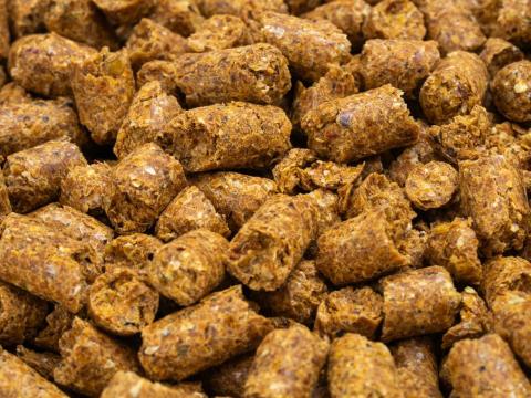 Kukorica DDGS pellet