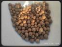 Milotai M10 idei,  szárított héjas dió