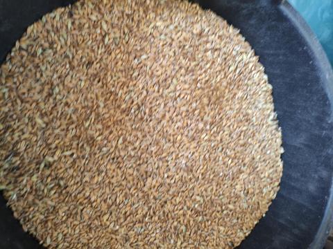 Alakor és tönke ősi búza liszt eladó 1200 Ft/kg áron