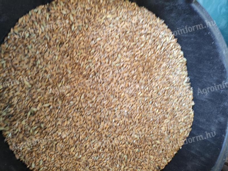 Alakor és tönke ősi búza liszt eladó 1200 Ft/kg áron