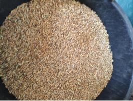 Alakor és tönke ősi búza liszt eladó 1200 Ft/kg áron