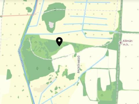 Tőzeg bányászatára alkalmas terület eladó 10 ha