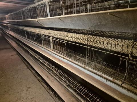 Tojóketrec rendszer, tyúk ketrec eladó – nagy kapacitás, többcélú felhasználásra