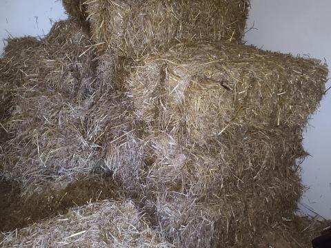 Szalmabála, kiskockabála, szalma kiskockabála eladó