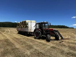 Blumhardt 10-t pótkocsi eladó