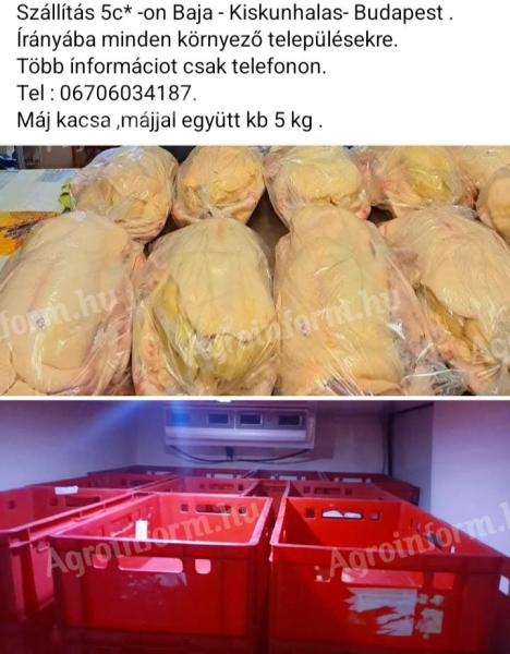 Konyhakész máj kacsa rendelhető