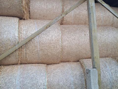 Szalma bála eladó – 160 cm-es körbála Szalma bála eladó – 160 cm-es körbála