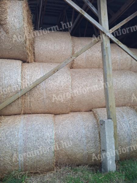 Szalma bála eladó – 160 cm-es körbála