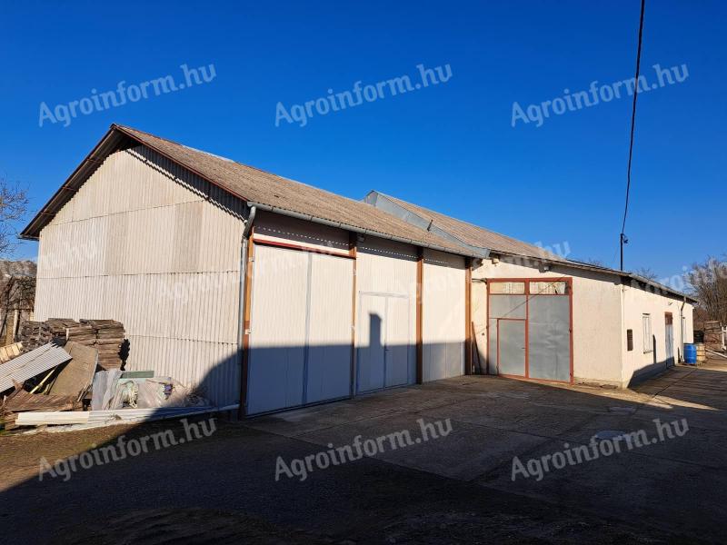 Hűtőház, raktár, többfunkciós gazdasági épület eladó Nyírbogáton