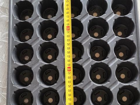 Palánta nevelő tálcák eladók