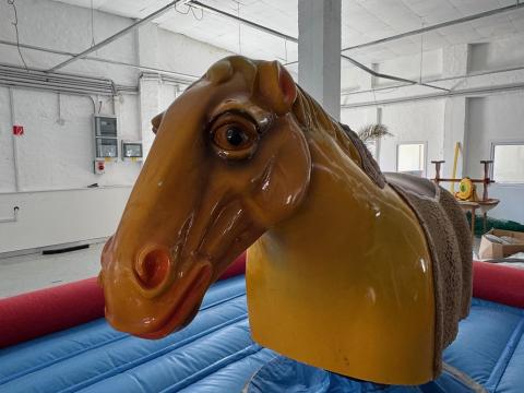 Rodeó Ló-Rodeó Bika