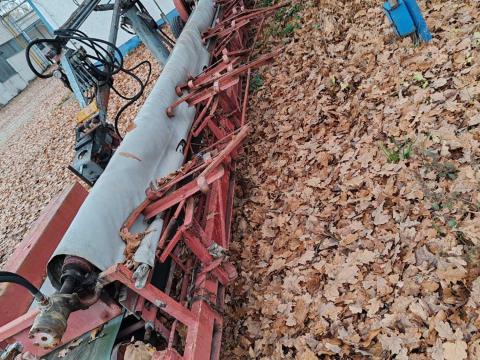 Gyümölcsrázó Schaumann