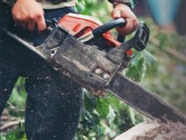 Fakitermelő cég segédmunkást keres