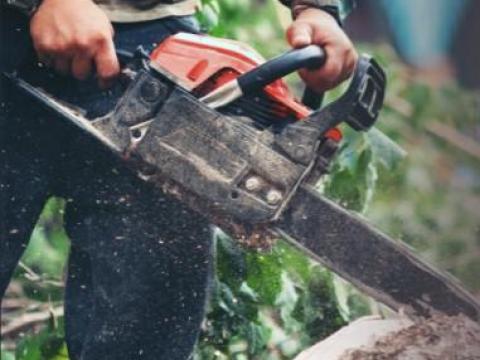 Fakitermelő cég segédmunkást keres