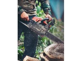 Fakitermelő cég segédmunkást keres