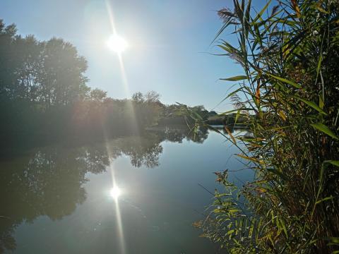 Eladó horgászparadicsom Virág - tó Mezőfalva Eladó horgászparadicsom Virág - tó Mezőfalva