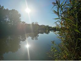 Eladó horgászparadicsom Virág - tó Mezőfalva