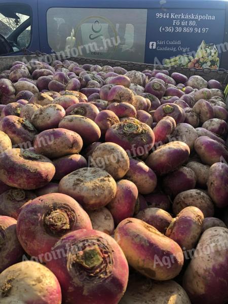 Tarlórépa, kerekrépa eladó nagy mennyiségben