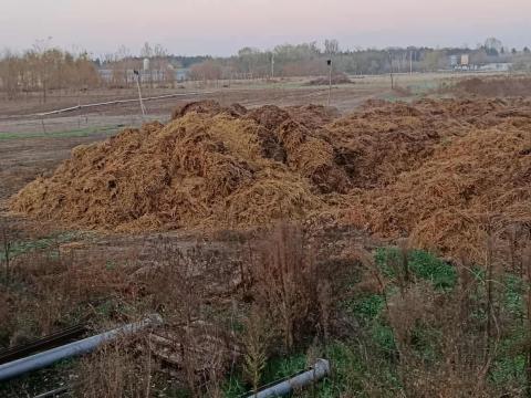 Eladó baromfitrágya 250 Ft/q áron