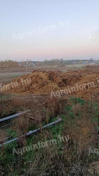 Eladó baromfitrágya 250 Ft/q áron