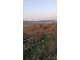 Eladó baromfitrágya 250 Ft/q áron