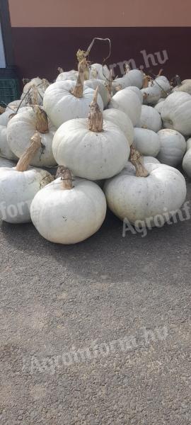 Sütőtök eladó, kis és nagy tételben