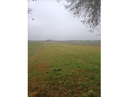 Szántóföld eladó Pannonhalma mellett