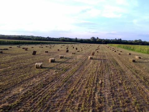 Lucerna eladó Lucerna eladó
