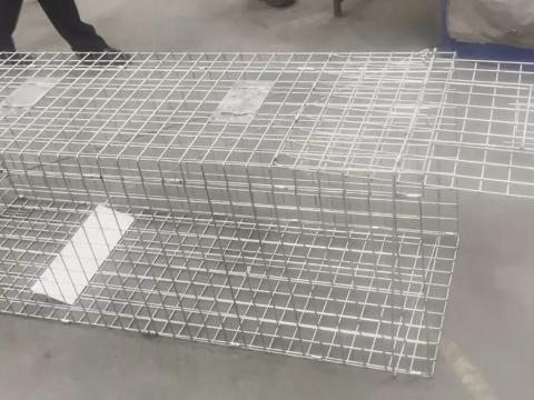 Profeszionális élvefogó rókacsapda 150x55x50 cm Profeszionális élvefogó rókacsapda 150x55x50 cm