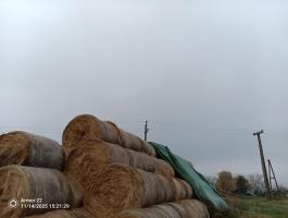 Tavalyi széna eladó