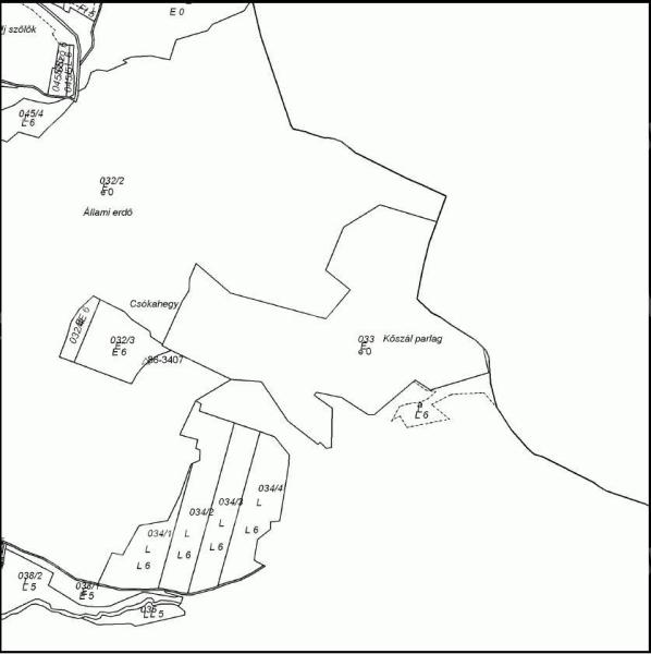 12,2 ha erdő eladó Nógrádsipek közelében