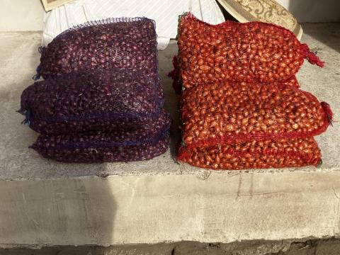 Dughagyma eladó - Makói és lilahagyma Dughagyma eladó - Makói és lilahagyma