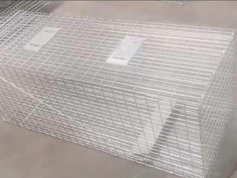 Profeszionális élvefogó rókacsapda 130x45x50 cm Profeszionális élvefogó rókacsapda 130x45x50 cm