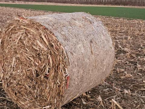 Kukoricaszár bálázva Kukoricaszár bálázva