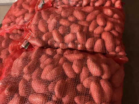 Kifli burgonya Kifli burgonya