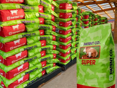 Hízómarha-koncentrátum 50% fehérje - kedvező ár, Országos szállítás Hízómarha-koncentrátum 50% fehérje - kedvező ár, Országos szállítás