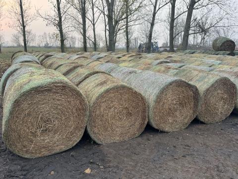 Vegyes lucerna eladó