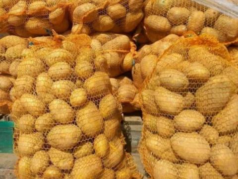 Sárga étkezési burgonya 15 kg zsákokban Sárga étkezési burgonya 15 kg zsákokban