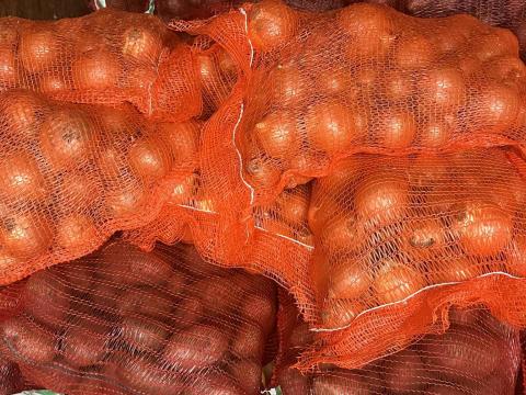 Hagyma eladó Hagyma eladó