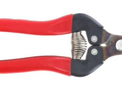 ARS 300SS szüretelő olló – rozsdamentes acél pengével, ergonomikus kialakítással ARS 300SS szüretelő olló – rozsdamentes acél pengével, ergonomikus kialakítással